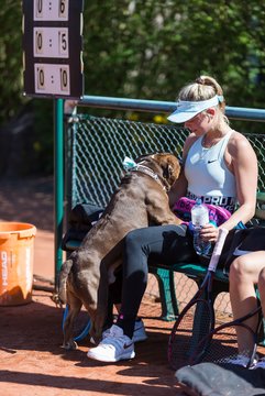 Trainingstag am 20.4.19 159 - Training mit Carina